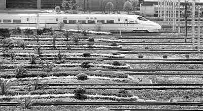 ������������6�¿�ʼ�������飨ͼ��