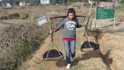 Ů��ѧ����������׬10��������ߵ�Ʒ������