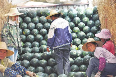 �Ϸ���ٴ����������������������ۼ���������