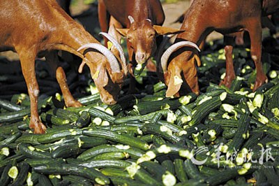 ��������������������ƹϡ���ȾԴ������δ�⿪