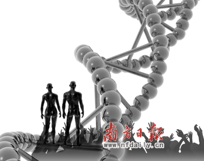 ת���������ս���⾺������ת����ʳƷ����