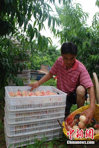 �ӱ�˳ƽ�������������⡰��ʱ���ۡ������߼�