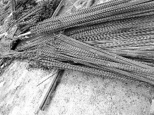 �����ֽ�����֣�ݼӹ�����׬25��Ҫ��ϸ����ϸ