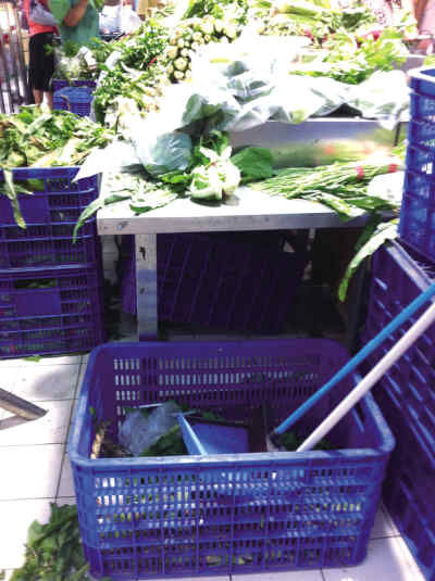 �����Ӽ��治�٣�������ȥƤ��������è��