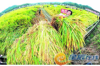 Ԭ¡ƽ���������Ķ��900���ｫ������������