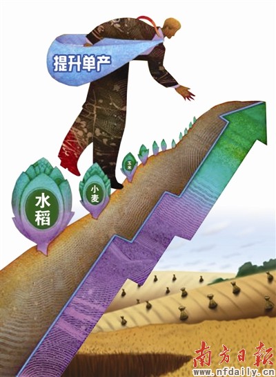 ������������ƹ����Ѷ�18��Ķ����������