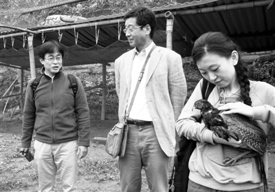 ��ͼ�����պ����֡����Ĳˡ��������Ƚڡ�������