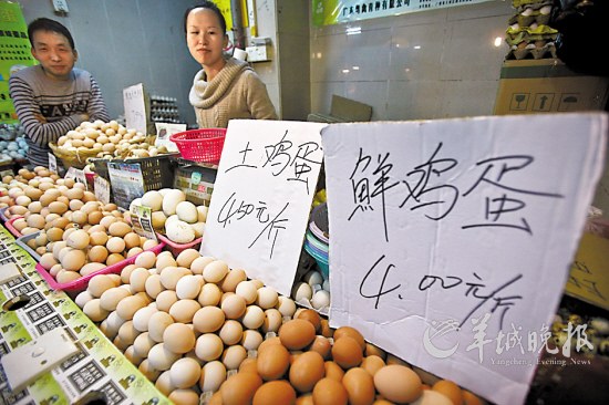 ���ݵ��������۸�������䴴19�����µ�