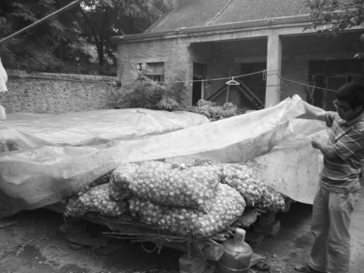 ��������Ƹ߼۸��г��嵭��ũ����