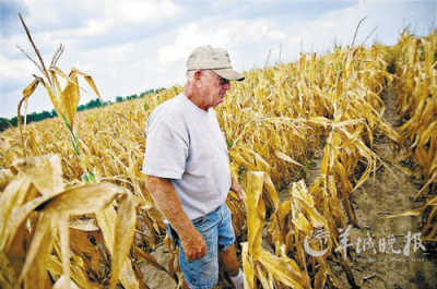 ����ũ��Ʒ�ڻ�����һ�ֶ�����һ�ֲָĹ�247Ԫ