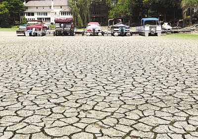 �������ֳ��ȫ��ͨ���������Ÿ�����������