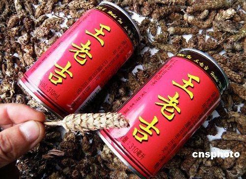 �����ϼ����̱갸�粨��ƽ�������ǡ���Ӱ����