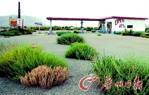 ����������ġ�С��������׼�390����Ԫ