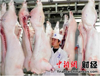 金锣养殖规模化千里之外保安全(图)