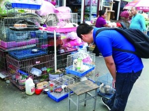 ��һ�ܹ������������飺������Ѫ���ӻ���������