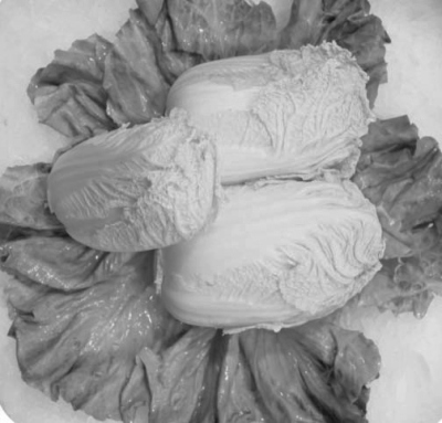 娃娃菜到底是什么菜?专家:娃娃菜是大白菜