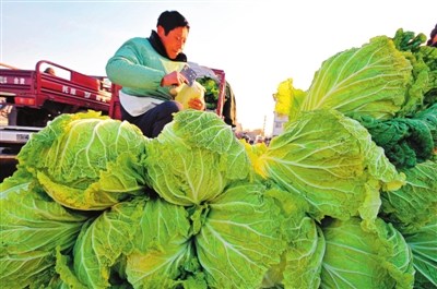 ȫ����ײ˼۸���0.5Ԫ/��������