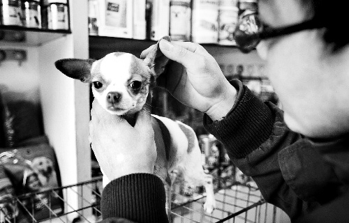 80��������һ�»�ǧԪA����������ʦ����15��