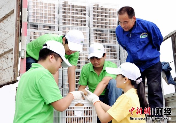 秦岭鲜都猕猴桃又是丰收年体验丰收喜悦采摘快乐心情