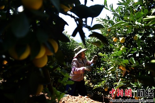 ��˫ʮһ������������Ԥ���ҳ�200��