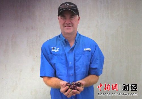 ���ذ�����������ˣ�ϵ��̬ϵͳ�е���ͨ�ˣ�8��