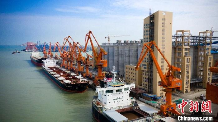 广州港今年前4个月外贸进口粮食作业量同比增长130.5%