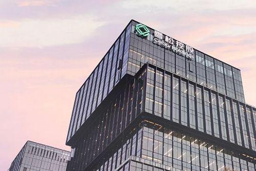 (张澍楠)雪松控股集团有限公司(下称雪松控股)陷理财兑付危机愈演愈烈