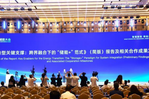 （经济观察）中国储能携手全球共筑零碳未来 从“产品出海”到“生态共赢”
