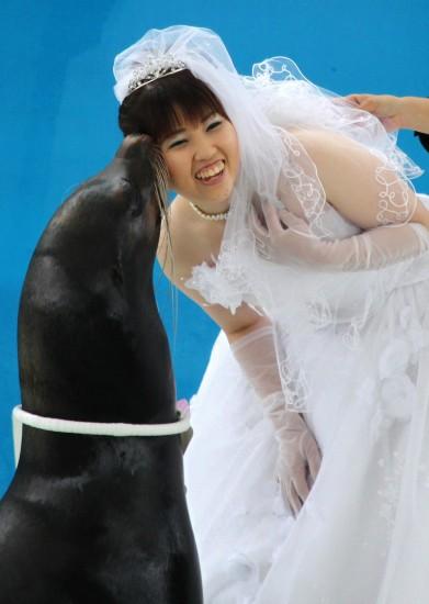 ��ͼ��һ�԰׺���Ϊ���˳䵱���ɰ���