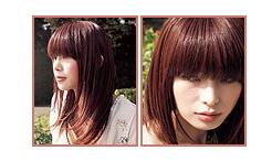 ģ��ʾ�� ʮһ���ٴ��