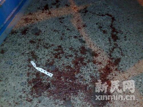 6名男子夜闯商店围砍两母子母为儿挡刀(图)