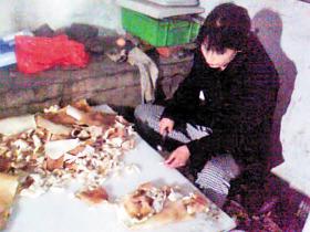 ����̽��Ƥ���ڼӹ��㣺��ϴ�»�ϴ��Ƥ(��ͼ)