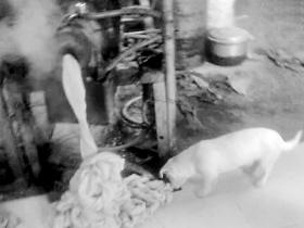 С���ڶ���Ƥ��������ȥ