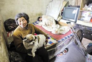 ��Ѯ��̫��Ǯ��������������Ƿծ������è��