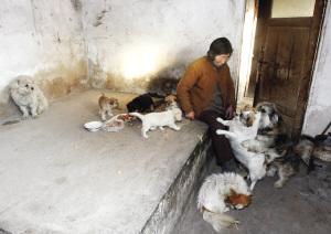 ��Ѯ��̫��Ǯ��������������Ƿծ������è��