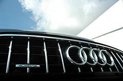 �µ�(����) Q7 2010��