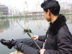 ������վ�ں������������