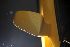 ����ţҲ�༰ �Ա��Լݷ�����/��������