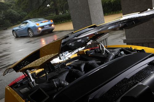 ����ţҲ�༰ �Ա��Լݷ�����/��������