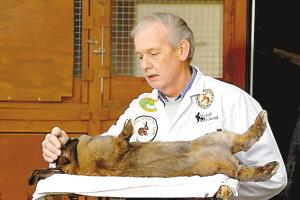 ����˹Ϊ���ӡ����ס����ߡ�