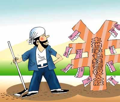 重庆:房价并非最高 为何打响房产税改革第一枪(5)