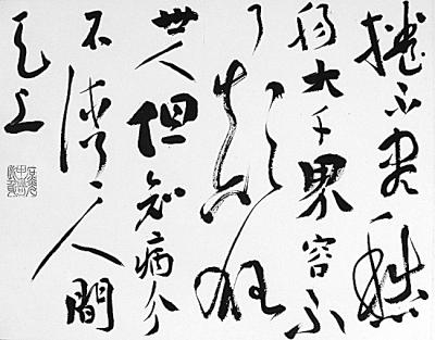 书画家杨士林:探究泥与火的文化奥秘(图)