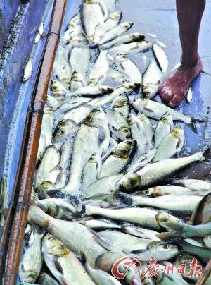 ��ˮϵͳй©���㷺�����