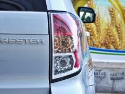 ˹��³2012��ɭ����