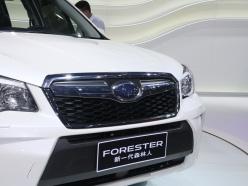 ˹��³2014��ɭ����