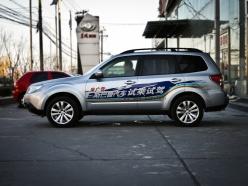 ˹��³2012��ɭ����