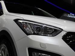 �����ִ�2013����ʤ��