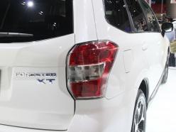 ˹��³2014��ɭ����