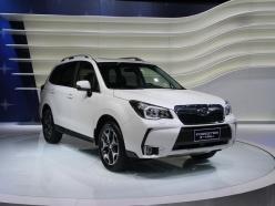 ˹��³2014��ɭ����