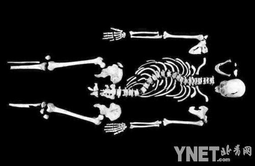 �����������Ź�2��4�ձ�չʾ �»��緢 ��